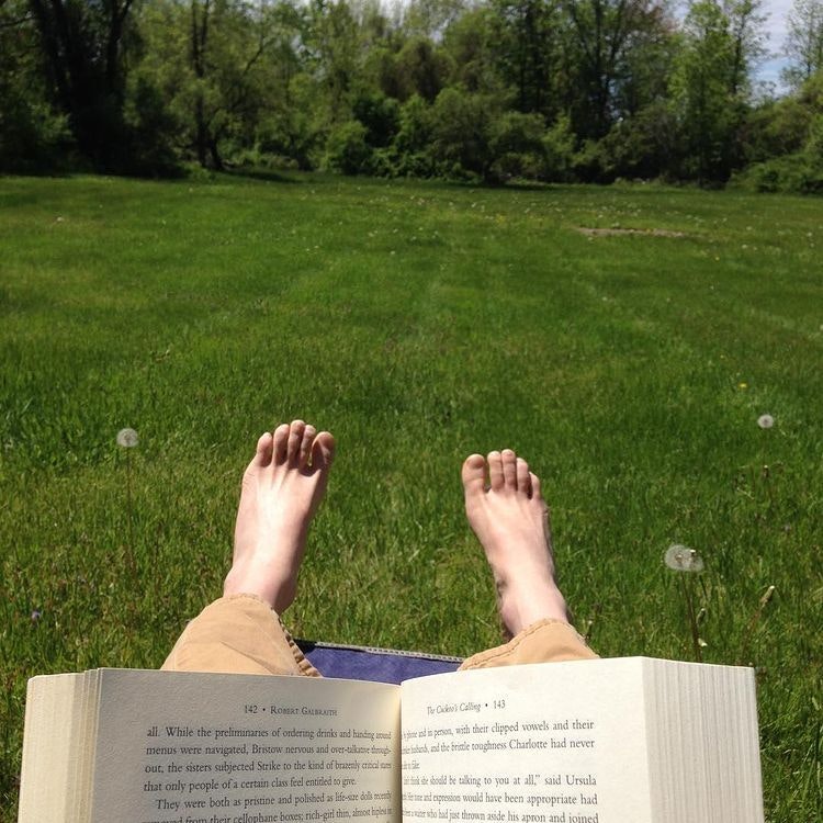 Book in a grassy field